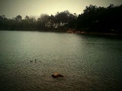 景点-南京市无想山景区