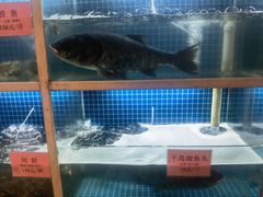 -走马楼饭庄(慈城古县城店)