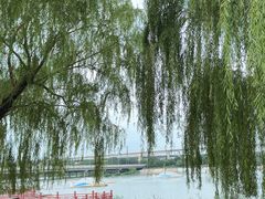 -绿堤公园
