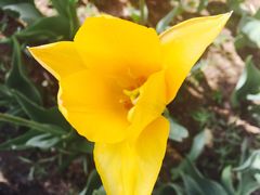 -长春公园(普阳街道)