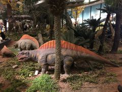 -湖南省地质博物馆