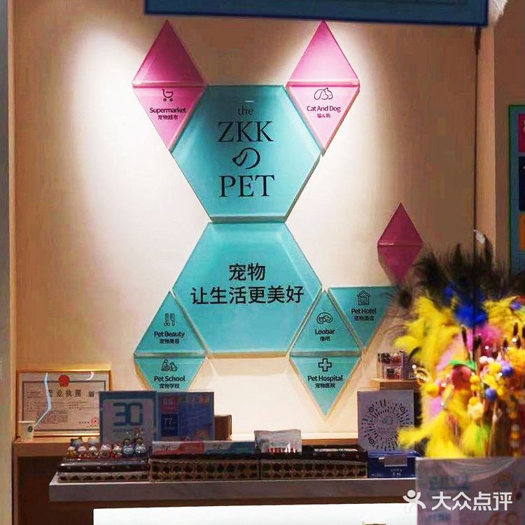铲屎官快来报道❗❗
