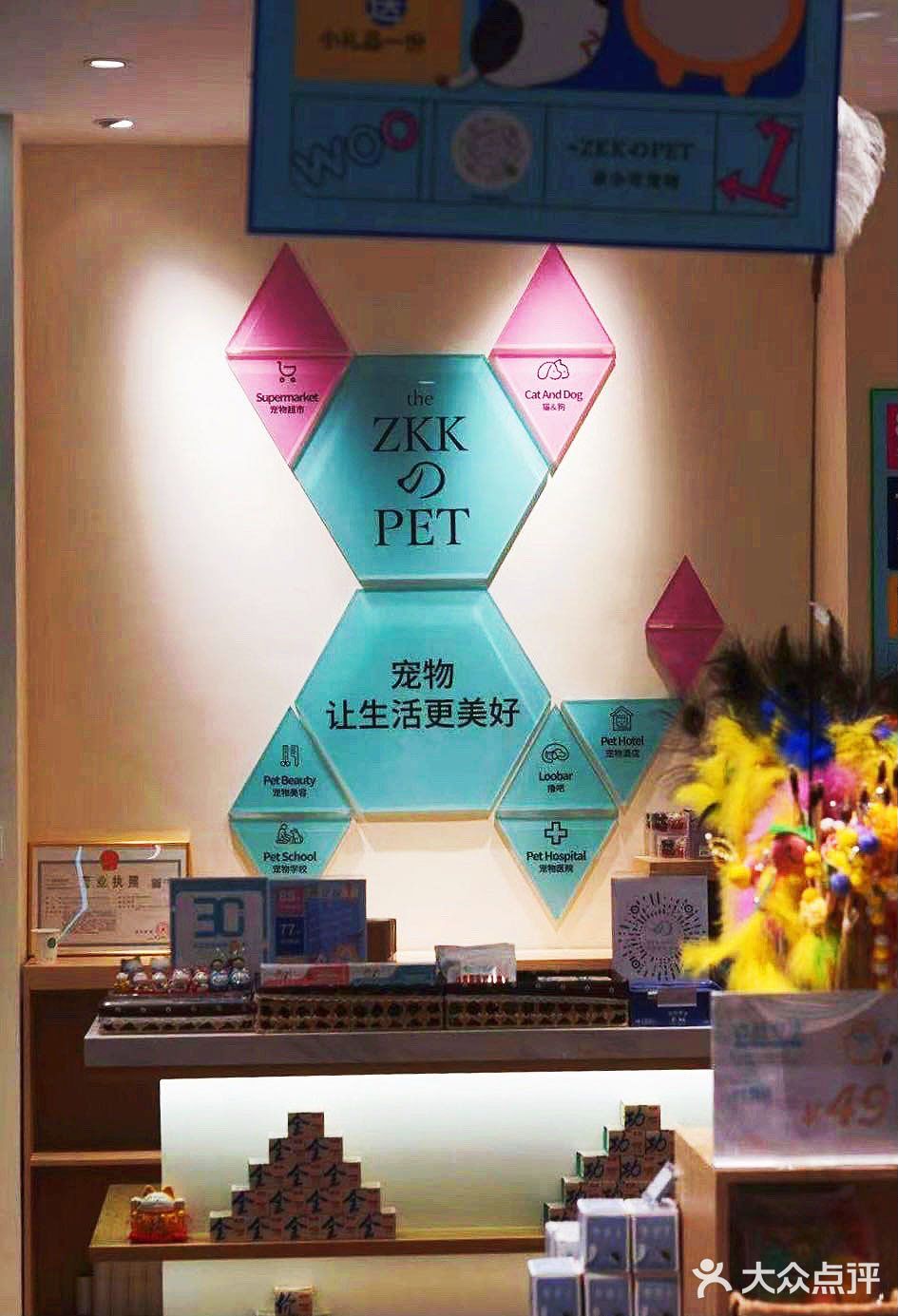 铲屎官快来报道❗❗