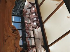 -老板恋上鱼(荣盛广场店)