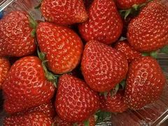 -牛奶便利(东四店)