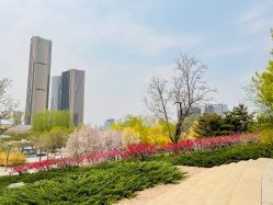 -大望京儿童游乐场