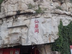-仙蘑洞