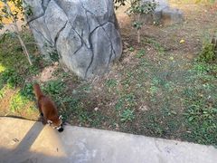 -杭州野生动物世界