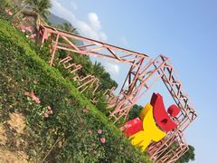 -亚龙湾国际玫瑰谷