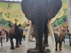 -陕西自然博物馆