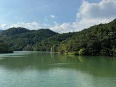 -广州白江湖森林公园