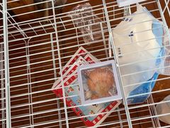 -蓝湾碧波·老字号·疍家非遗海上餐厅