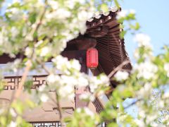 景点-天津水上公园