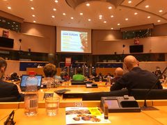 -新欧盟总部大厦