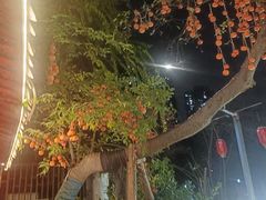 -田园印象·成都土菜院子(华阳店)