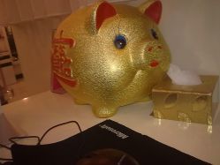 小金猪-DRG达人馆造型