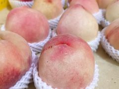 -老袁家蜜桃农场·阳山水蜜桃