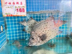 -叶姐海鲜(棋子湾店)