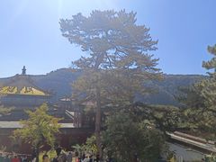 -普陀宗乘之庙(小布达拉宫)