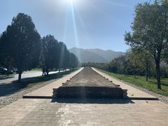 -秦始皇帝陵博物院-丽山园