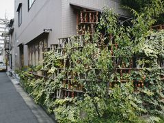 -是山居
