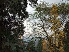 -老君山