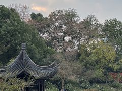 -红梅公园