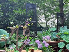 -杭州植物园