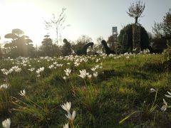 -武汉紫薇都市田园