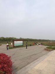 -水八仙生态园