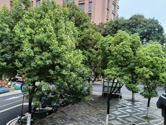-翠云楼·汽锅鸡·云南特色菜(翠湖公园店)