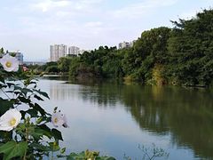 -金山公园