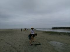 -红树林天天赶海