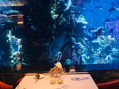 -迪拜帆船酒店海底餐厅