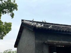 -良渚古城遗址公园