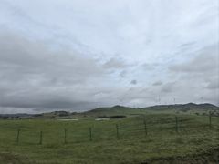 -御道口草原森林风景区