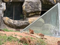 -天秀花园古月园