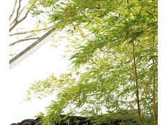 -拙政园