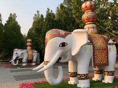 -永定河休闲森林公园