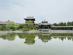 -善化寺