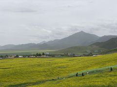-扁都口生态休闲旅游区