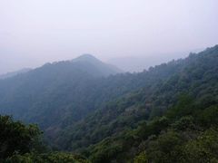 -午潮山国家森林公园