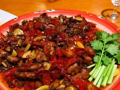 -柴窝堡22号辣子鸡·传承新疆菜