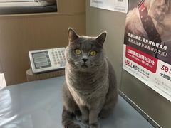 -嘉美宠物医院
