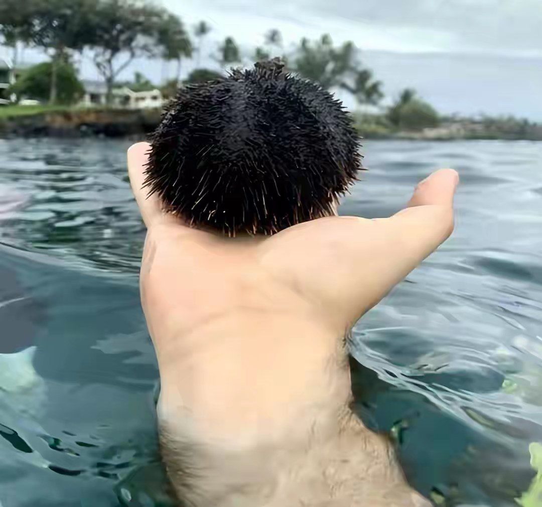 漂漂乐趣～水上飘