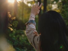 -昆山城市生态森林公园