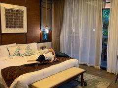 -碧桂园润杨溪谷温泉酒店