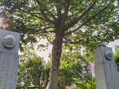 -广州神农草堂中医药博物馆