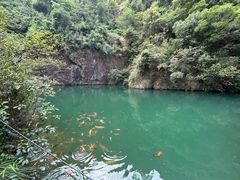 -大奇山国家森林公园