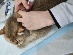 -贝利宠物医院·骨科·眼科·肿瘤转诊中心(南坪诊疗中心)